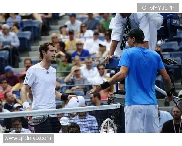 阿什vs对手的精彩对决揭示了竞技体育的魅力与挑战